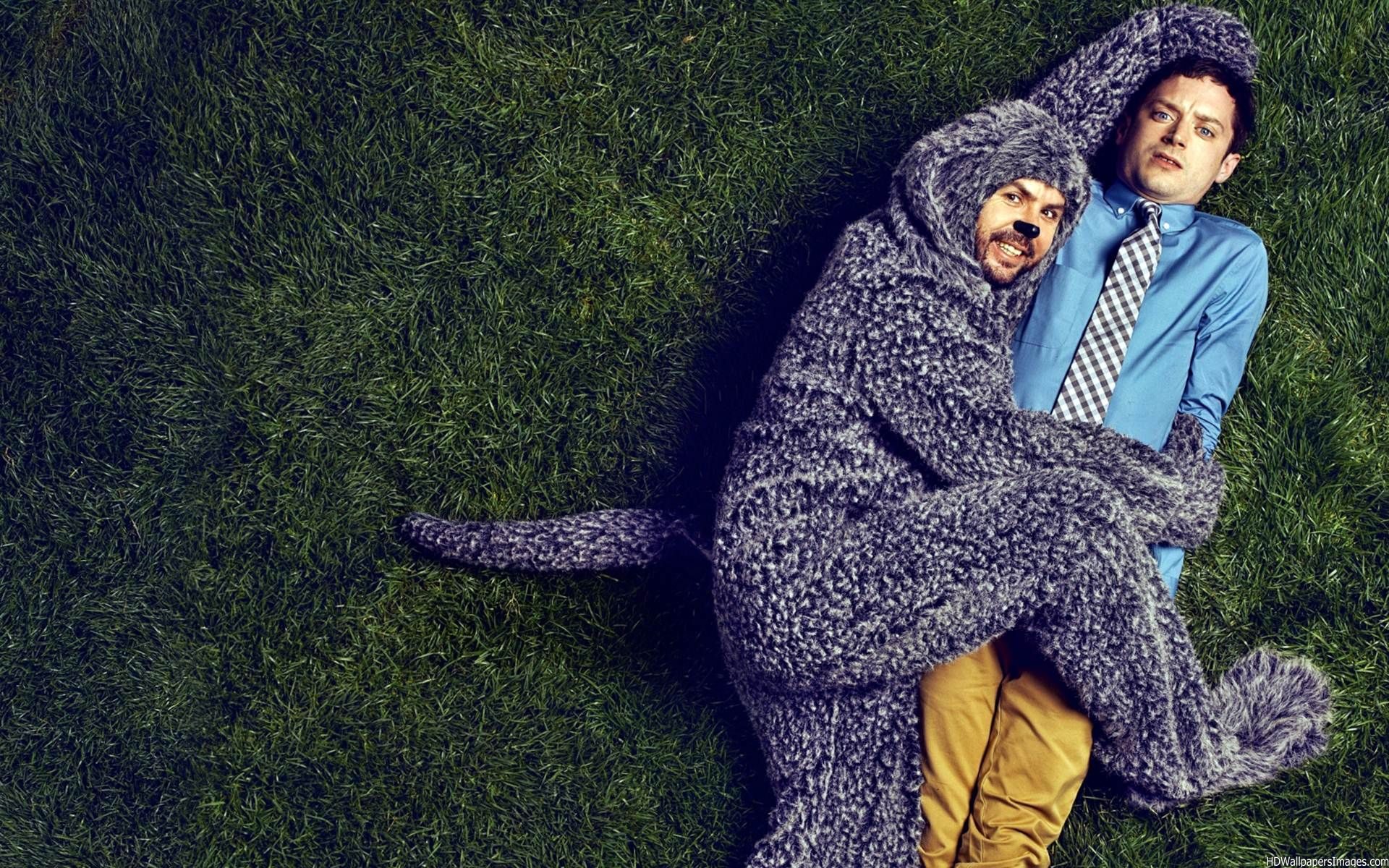 Wilfred TV HACK streaming television Top 10 Netflix Comedies